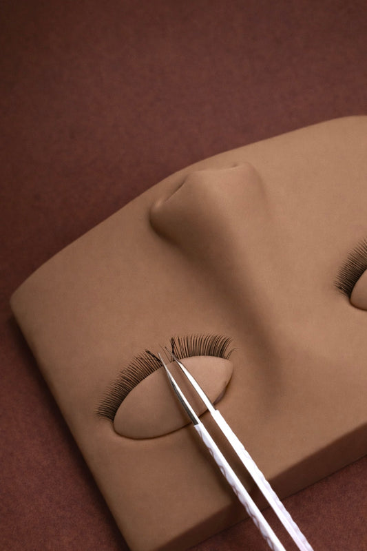 Tête d’entraînement. Deux rangées de cils