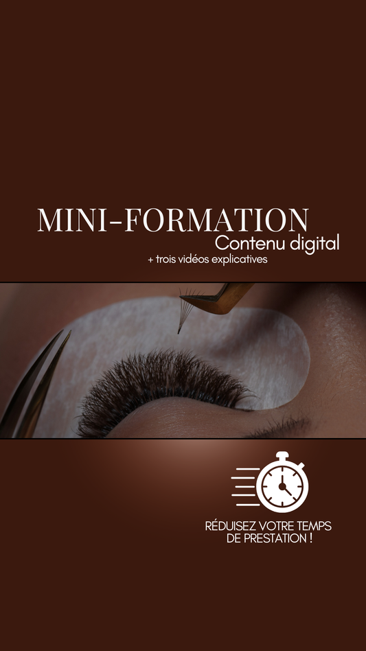 Mini Formation - Apprendre à travailler rapidement + 3 vidéosppp